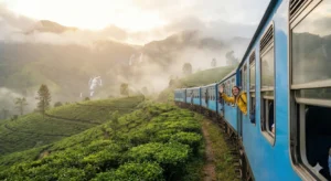 A stunning travel shot of the famous blue train 1 | Ceylon Signature - Sri Lanka