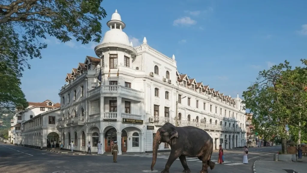 Kandy.ceylon signature 3 e1766487333781 | Ceylon Signature - Sri Lanka