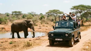 Tourists inside the jeep are looking at the elephant | Ceylon Signature - Sri Lanka