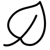icons8 leaf | Ceylon Signature - Sri Lanka