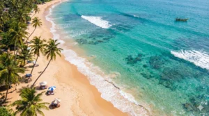 tropical beach in Mirissa | Ceylon Signature - Sri Lanka