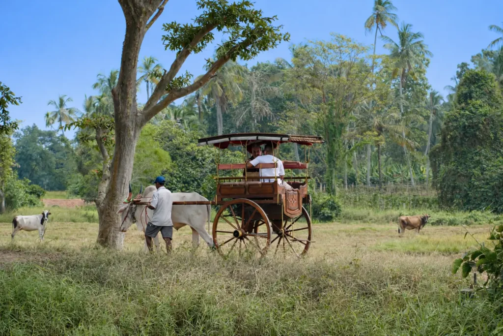 Welpalla Herbal Garden | Ceylon Signature - Sri Lanka