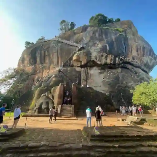 IMG 3582 600x600 1 | Ceylon Signature - Sri Lanka