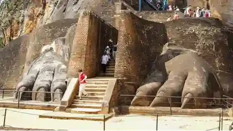 sigiriya rock fortress water gardens 260nw 2386758135 e1779350972659 | Ceylon Signature - Sri Lanka