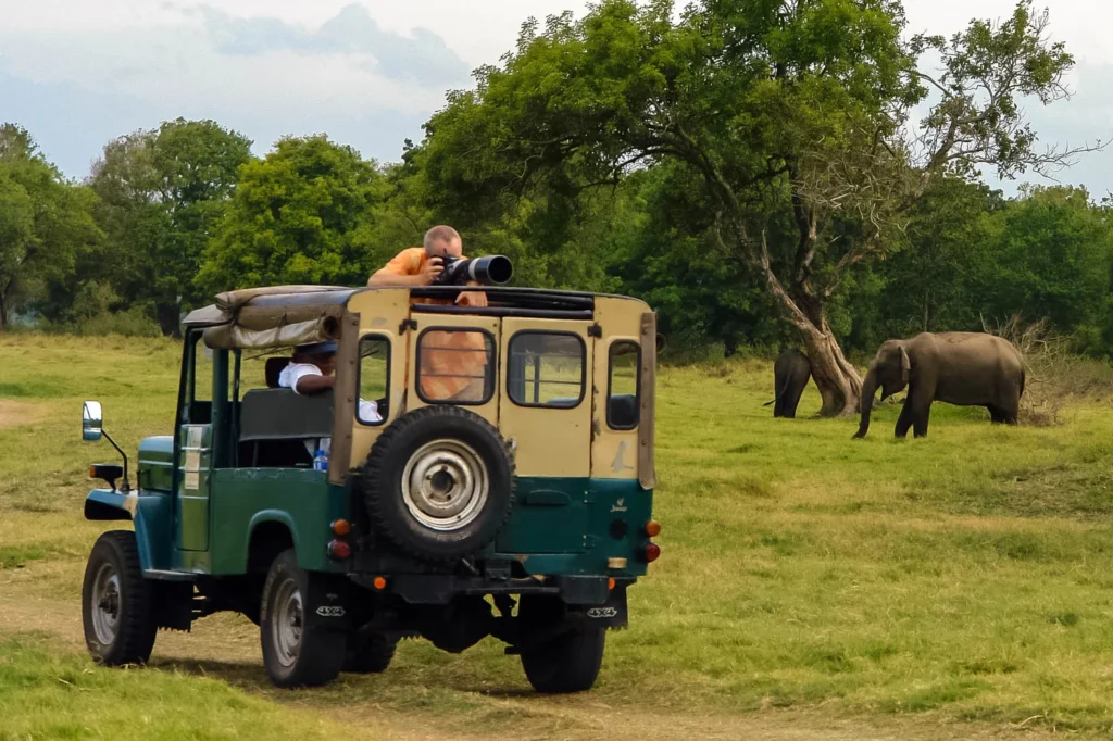 Bird watching during a Sri Lankan wildlife safari