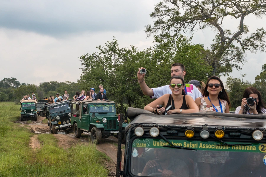 Wildlife guide observing animals during a Sri Lanka safari